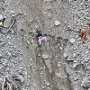 “Assam Quarry Tragedy: Rescuers Race to Save Trapped Miners as Hopes Fade”