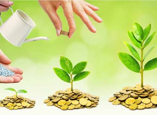 “How Rich Investors Can Grow Their Wealth in Today’s Market: Insights from India’s Top PMS Manager”