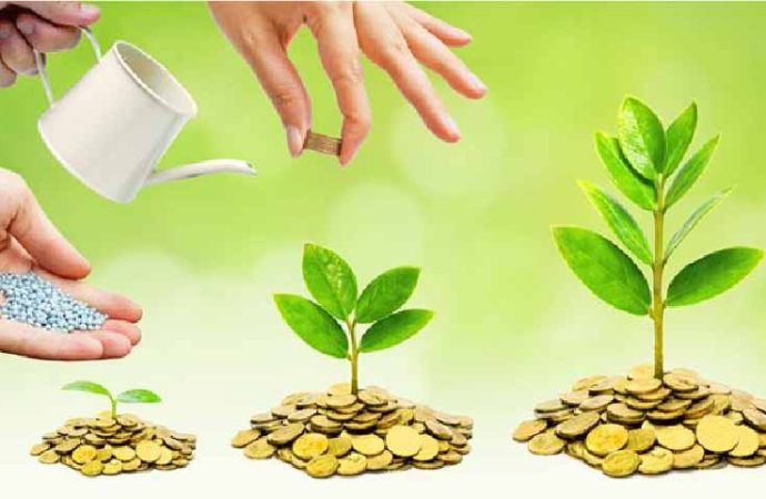 “How Rich Investors Can Grow Their Wealth in Today’s Market: Insights from India’s Top PMS Manager”