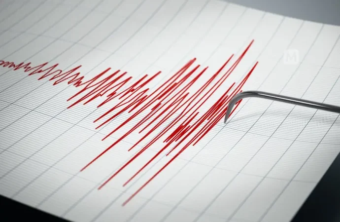 Assam Earthquake Today: 4.3 Magnitude Quake Strikes Nagaon Near Tezpur